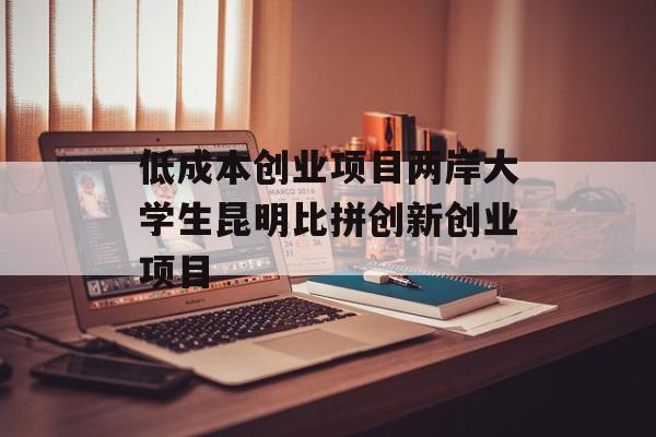 低成本创业项目两岸大学生昆明比拼创新创业项目