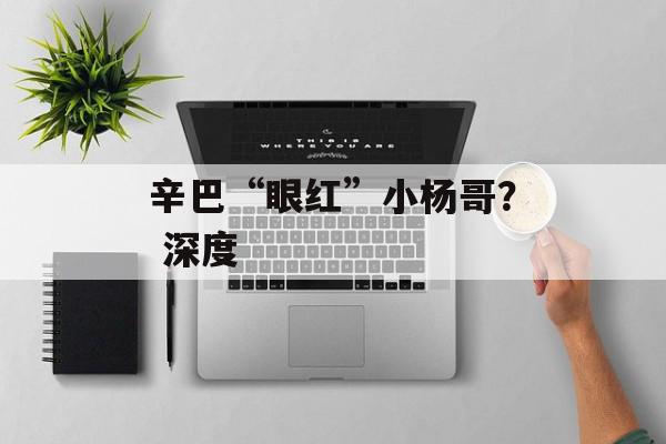 辛巴“眼红”小杨哥？ 深度
