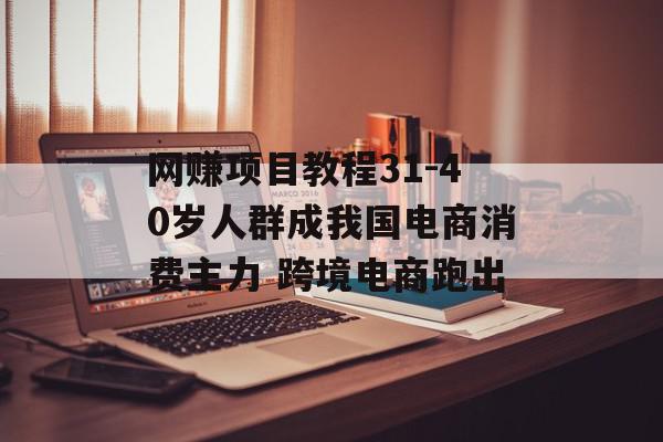 网赚项目教程31-40岁人群成我国电商消费主力 跨境电商跑出