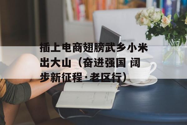 插上电商翅膀武乡小米出大山（奋进强国 阔步新征程·老区行）
