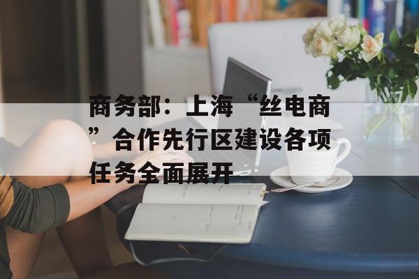 商务部：上海“丝电商”合作先行区建设各项任务全面展开