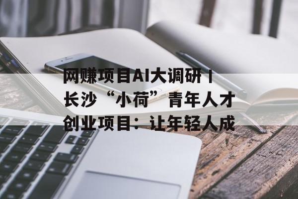 网赚项目AI大调研丨长沙“小荷”青年人才创业项目：让年轻人成