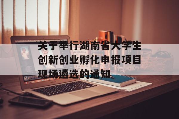 关于举行湖南省大学生创新创业孵化申报项目现场遴选的通知
