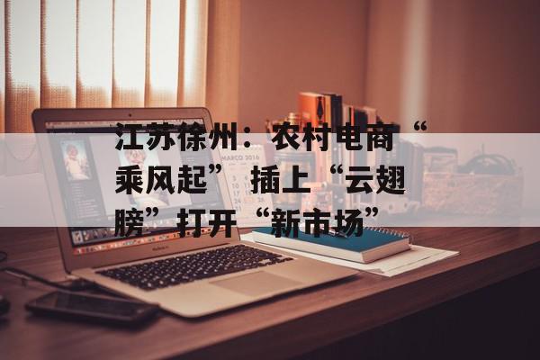 江苏徐州：农村电商“乘风起” 插上“云翅膀”打开“新市场”