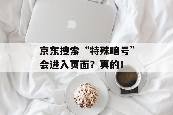 京东搜索“特殊暗号”会进入页面？真的！