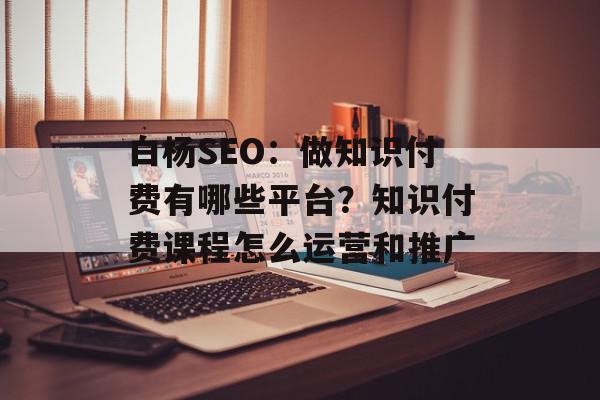 白杨SEO：做知识付费有哪些平台？知识付费课程怎么运营和推广