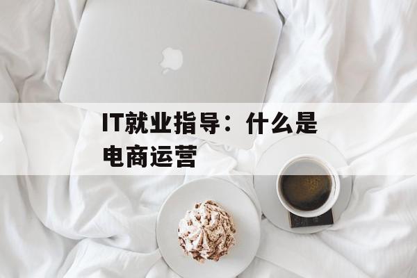 IT就业指导：什么是电商运营
