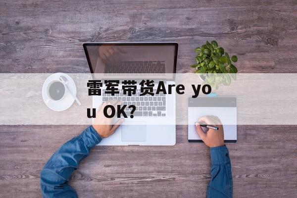 雷军带货Are you OK？