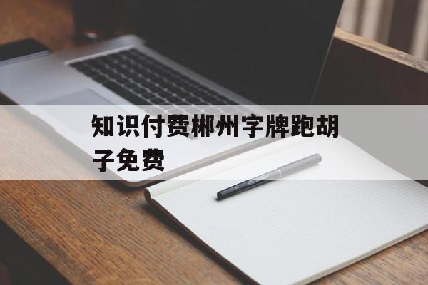 知识付费郴州字牌跑胡子免费