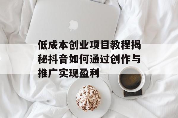 低成本创业项目教程揭秘抖音如何通过创作与推广实现盈利