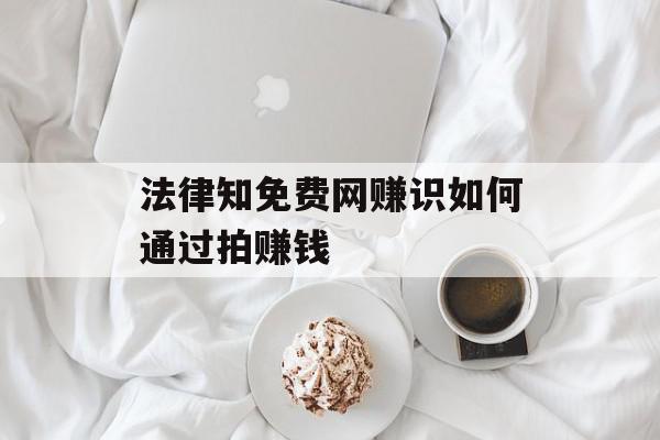 法律知免费网赚识如何通过拍赚钱