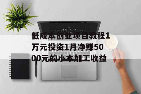 低成本创业项目教程1万元投资1月净赚5000元的小本加工收益