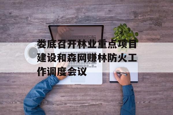 娄底召开林业重点项目建设和森网赚林防火工作调度会议