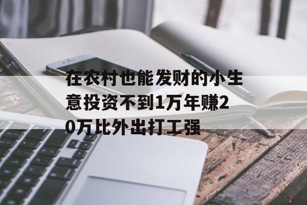 在农村也能发财的小生意投资不到1万年赚20万比外出打工强