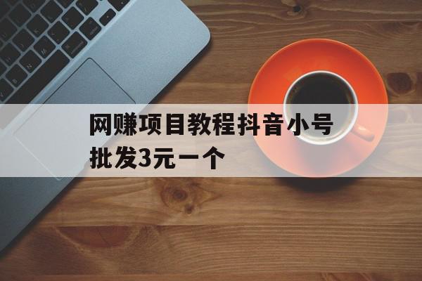 网赚项目教程抖音小号批发3元一个