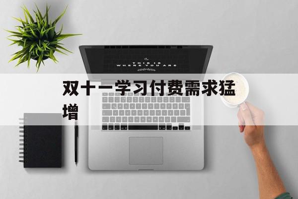 双十一学习付费需求猛增