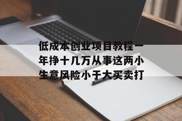 低成本创业项目教程一年挣十几万从事这两小生意风险小于大买卖打