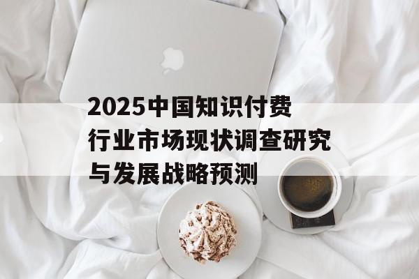 2025中国知识付费行业市场现状调查研究与发展战略预测