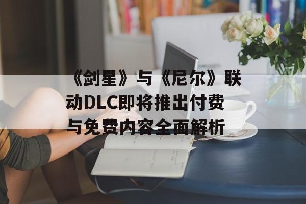 《剑星》与《尼尔》联动DLC即将推出付费与免费内容全面解析