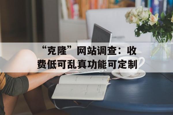 “克隆”网站调查：收费低可乱真功能可定制