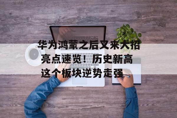 华为鸿蒙之后又来大招 亮点速览！历史新高 这个板块逆势走强