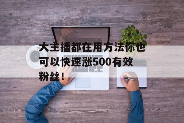 大主播都在用方法你也可以快速涨500有效粉丝！