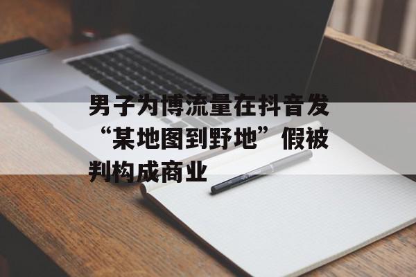男子为博流量在抖音发“某地图到野地”假被判构成商业