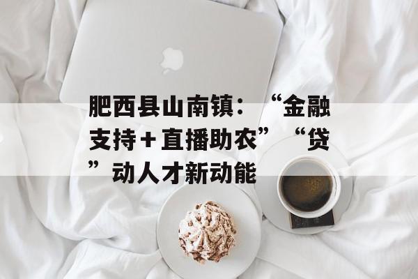 肥西县山南镇：“金融支持＋直播助农”“贷”动人才新动能