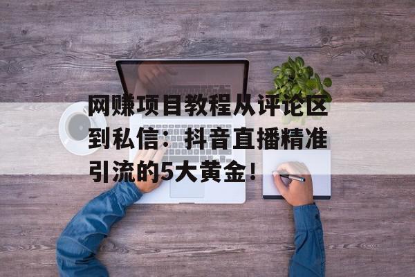 网赚项目教程从评论区到私信：抖音直播精准引流的5大黄金！