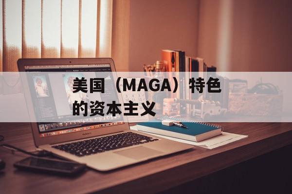 美国（MAGA）特色的资本主义