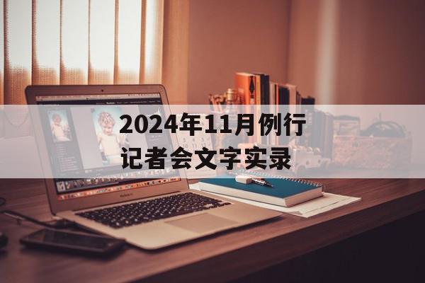 2024年11月例行记者会文字实录