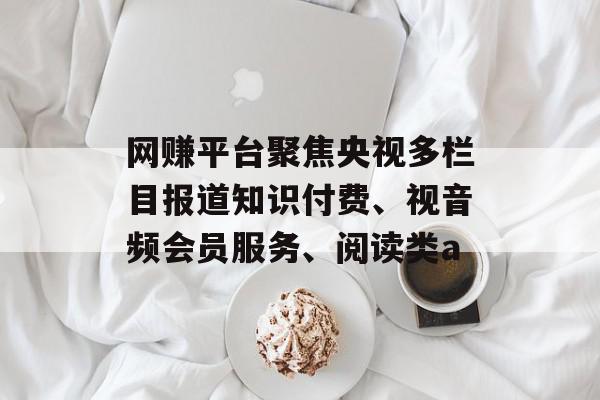 网赚平台聚焦央视多栏目报道知识付费、视音频会员服务、阅读类a
