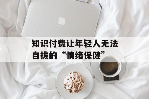 知识付费让年轻人无法自拔的“情绪保健”