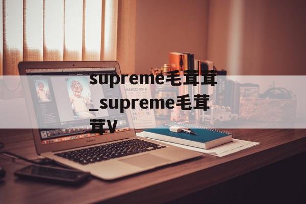 supreme毛茸茸_supreme毛茸茸V