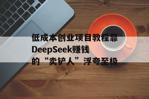低成本创业项目教程靠DeepSeek赚钱的“卖铲人”浮夸至极