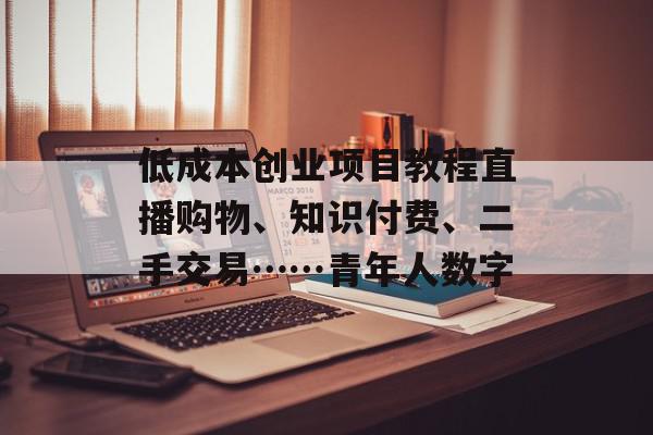 低成本创业项目教程直播购物、知识付费、二手交易……青年人数字
