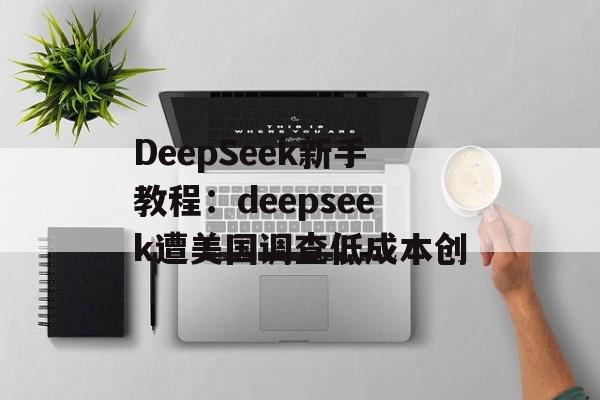 DeepSeek新手教程：deepseek遭美国调查低成本创