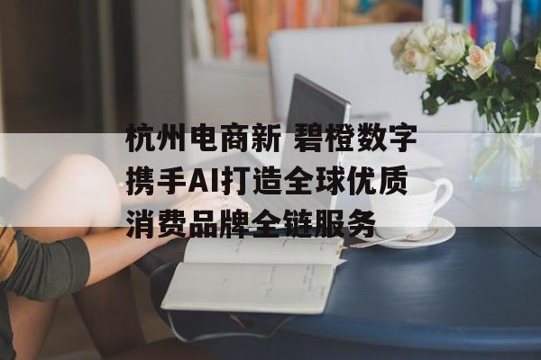 杭州电商新 碧橙数字携手AI打造全球优质消费品牌全链服务