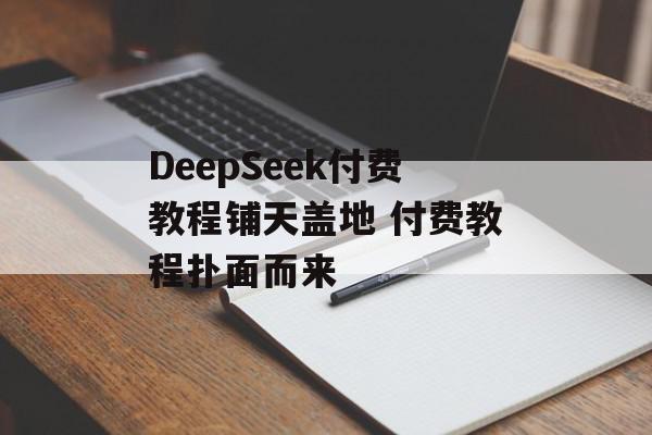 DeepSeek付费教程铺天盖地 付费教程扑面而来