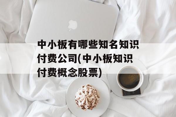 中小板有哪些知名知识付费公司(中小板知识付费概念股票)