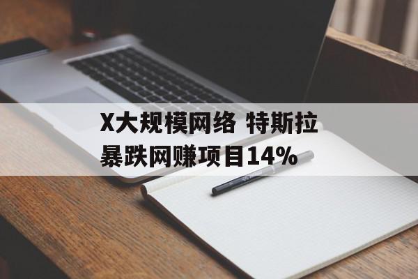X大规模网络 特斯拉暴跌网赚项目14%