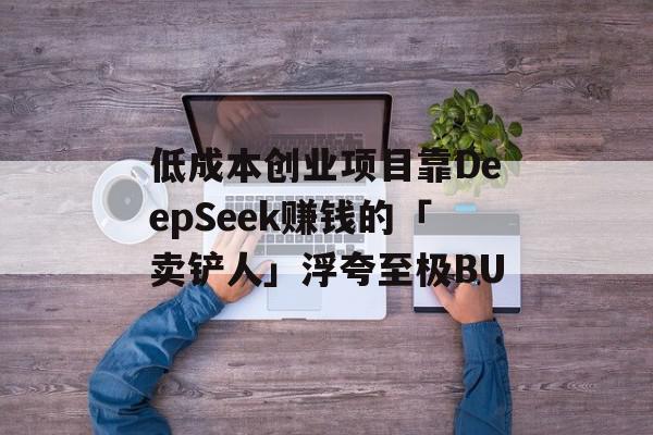 低成本创业项目靠DeepSeek赚钱的「卖铲人」浮夸至极BU