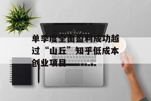 单季度全面盈利成功越过“山丘”知乎低成本创业项目