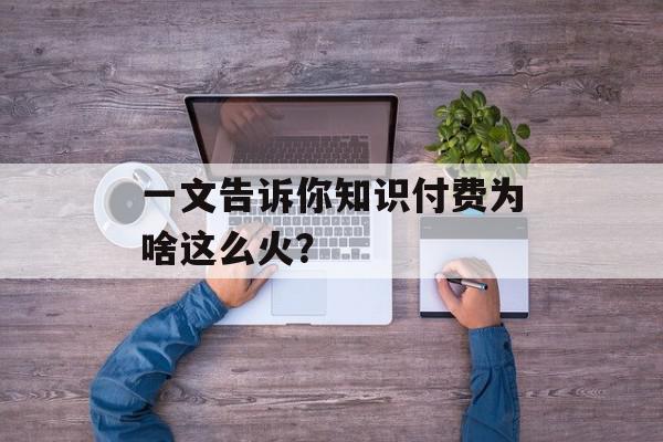 一文告诉你知识付费为啥这么火？