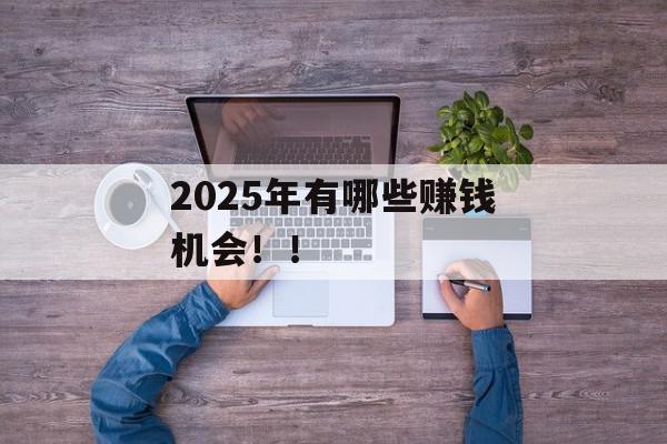 2025年有哪些赚钱机会！！