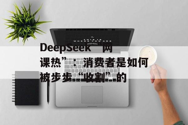 DeepSeek“网课热”：消费者是如何被步步“收割”的