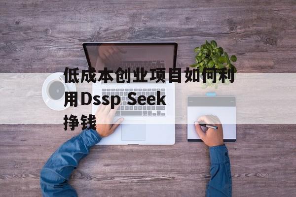 低成本创业项目如何利用Dssp Seek挣钱