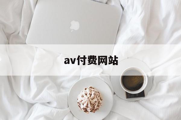av付费网站