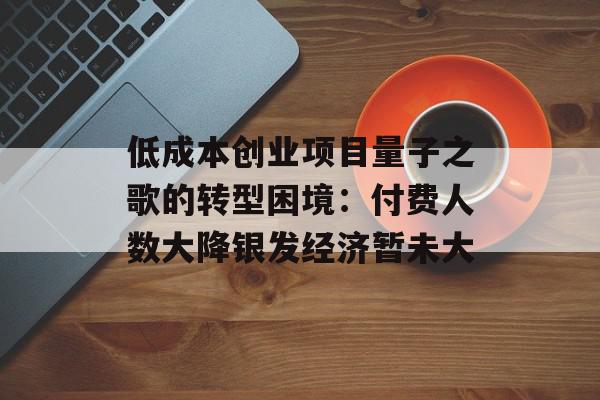 低成本创业项目量子之歌的转型困境：付费人数大降银发经济暂未大
