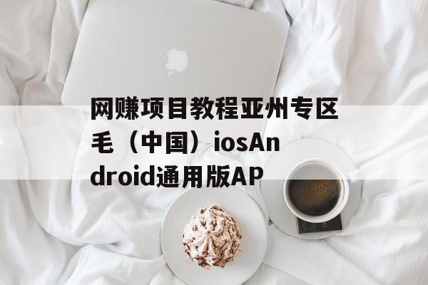 网赚项目教程亚州专区毛（中国）iosAndroid通用版AP